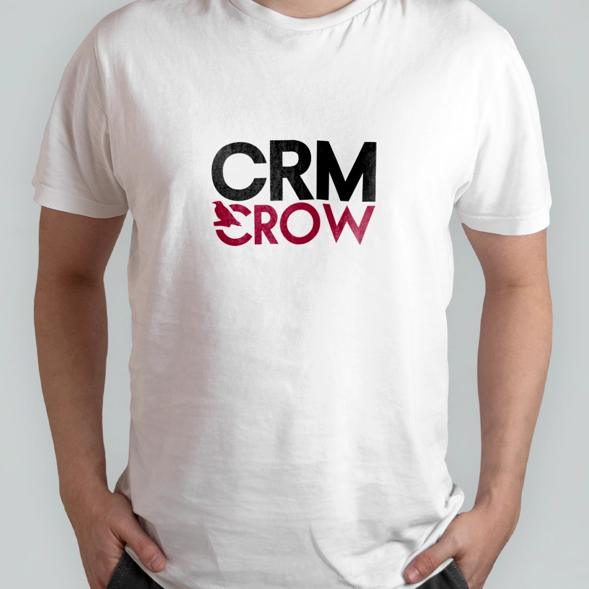 crmcrow.com