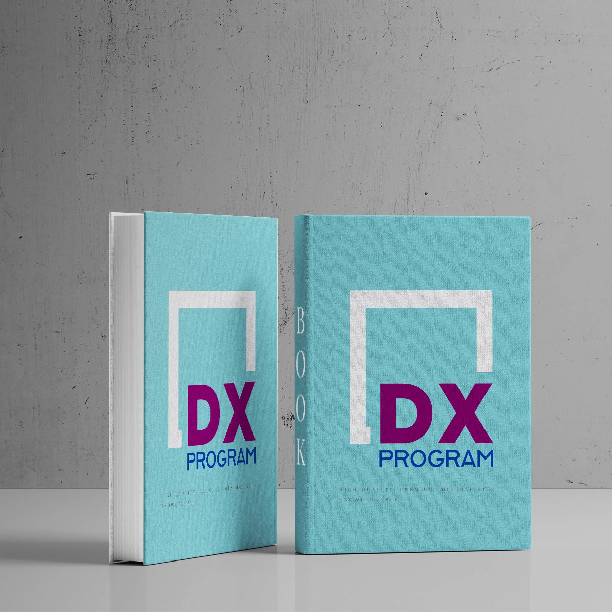 dxprogram.com