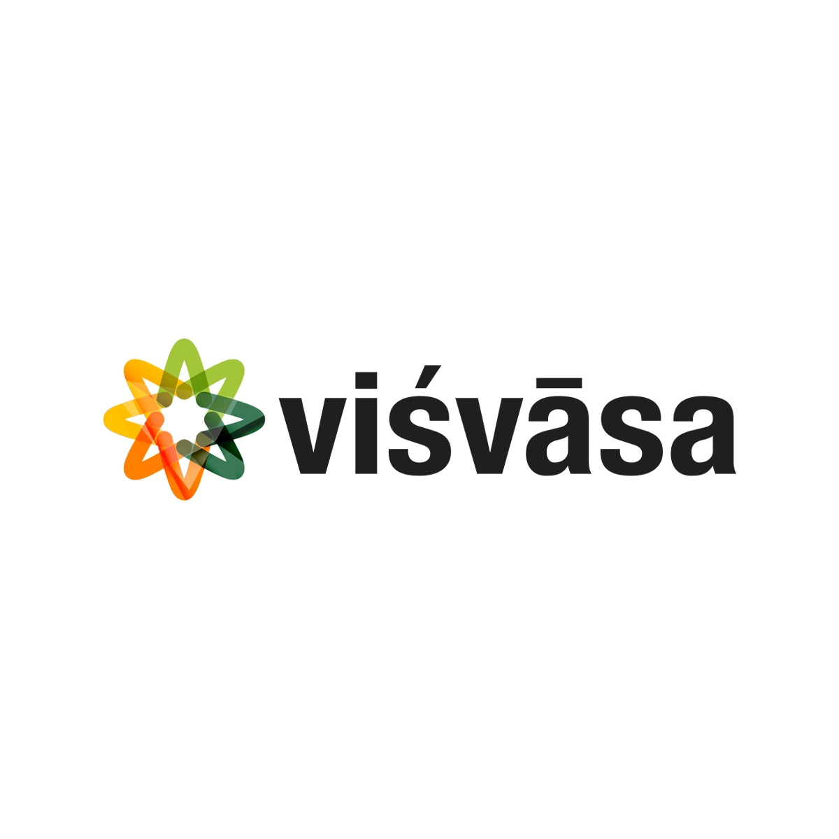 visvasa.com
