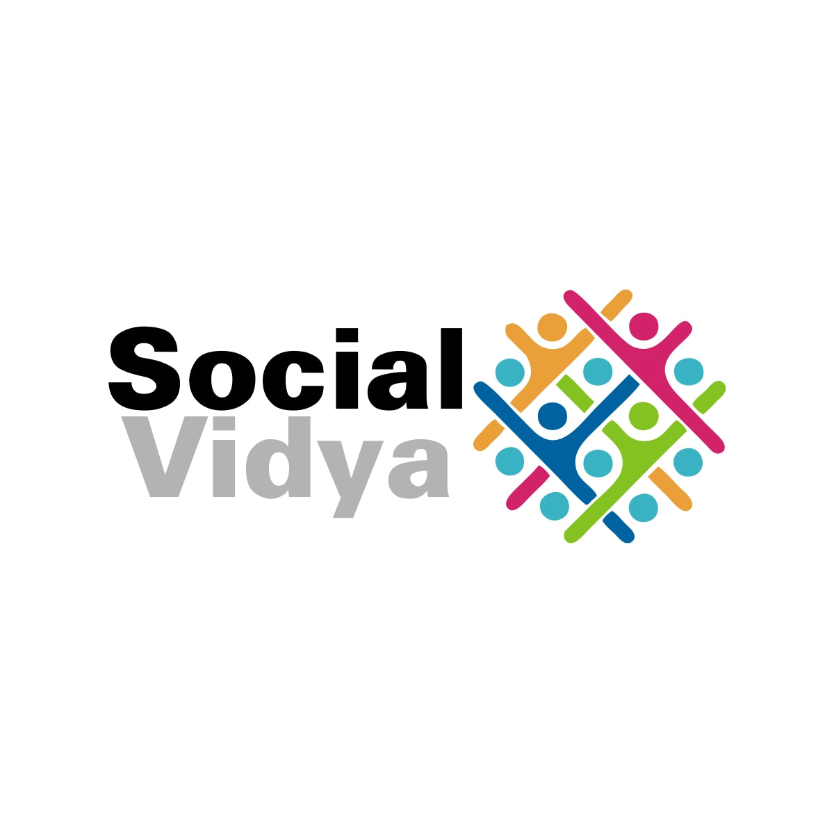 socialvidya.com