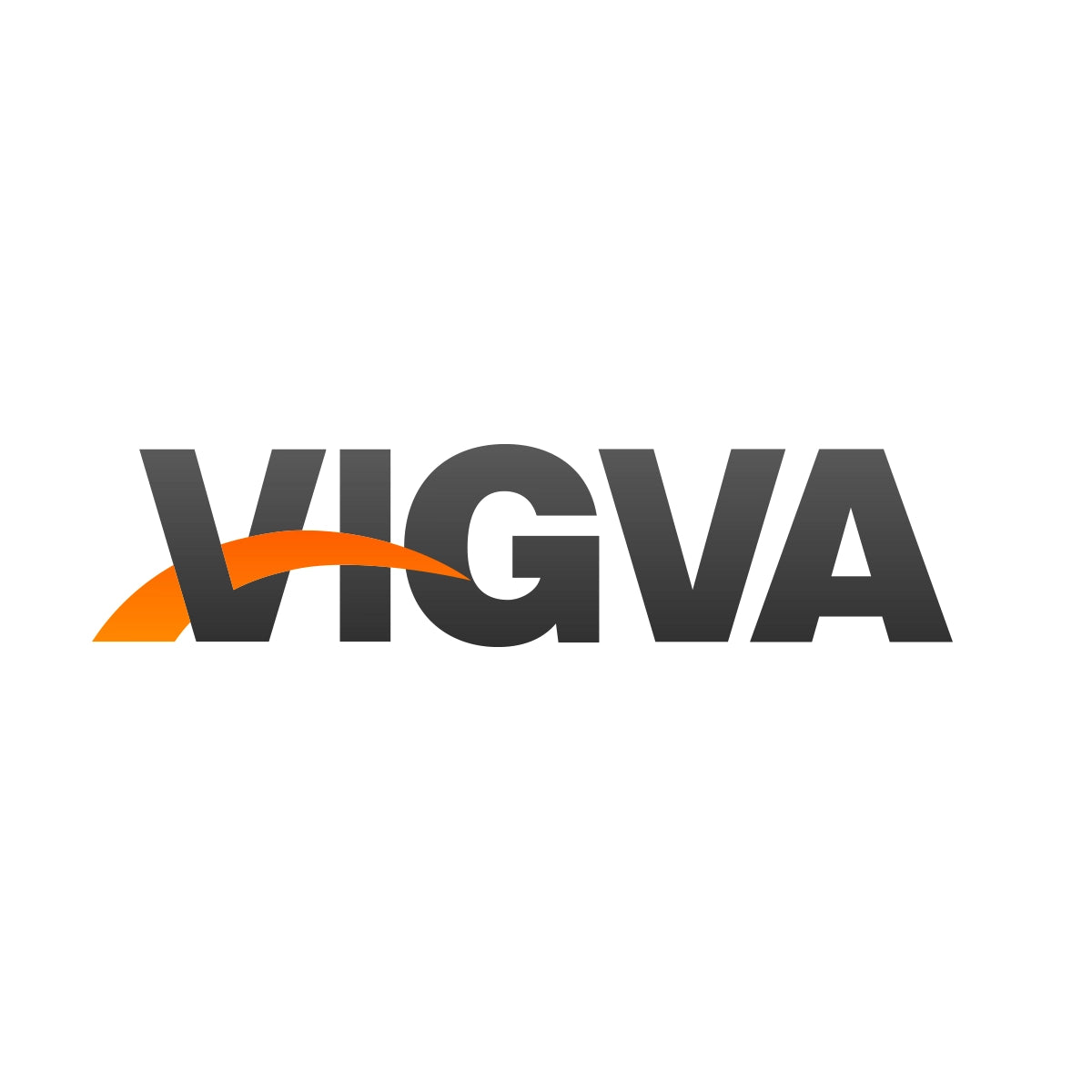 vigva.com