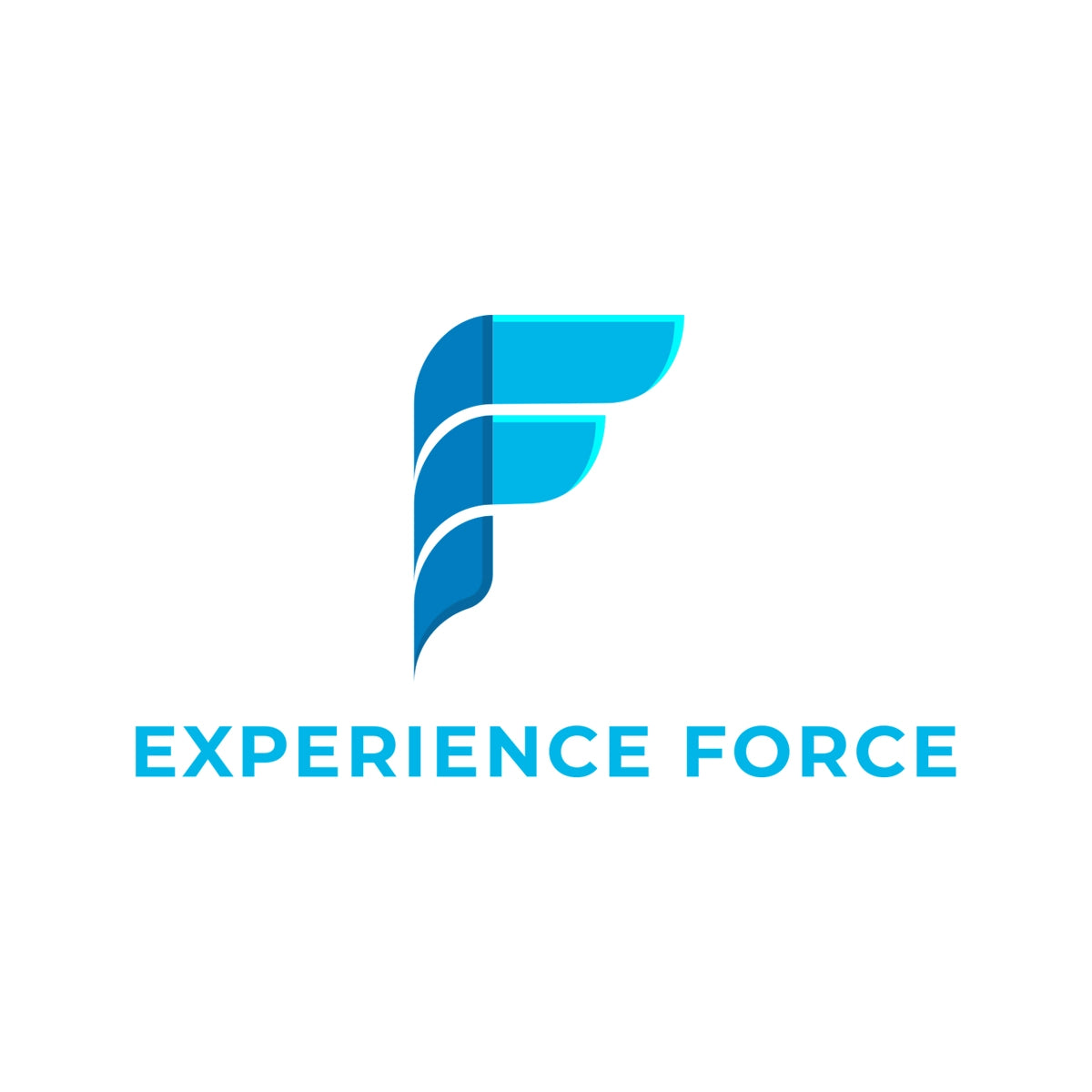 experienceforce.com