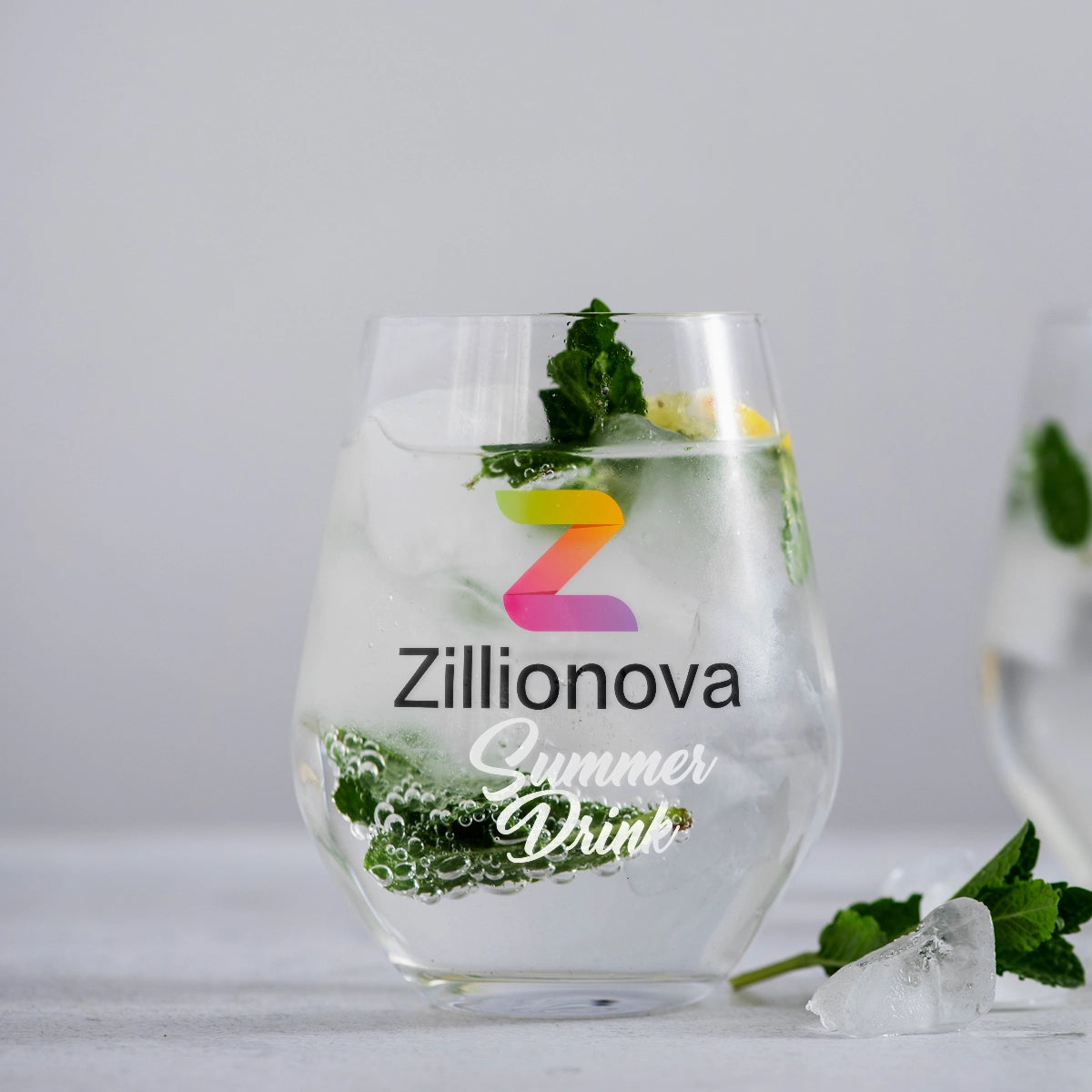 zillionova.com