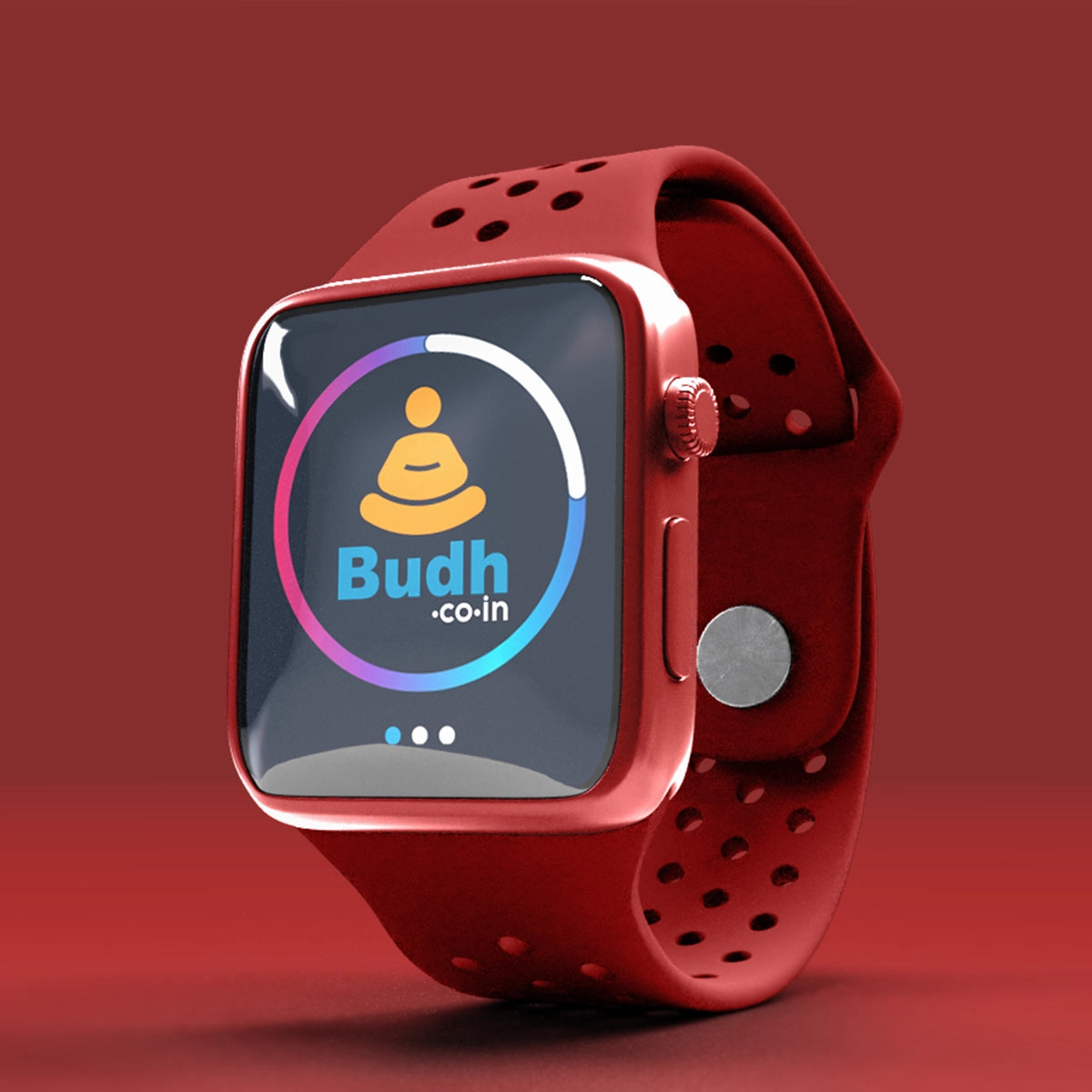 budh.co.in