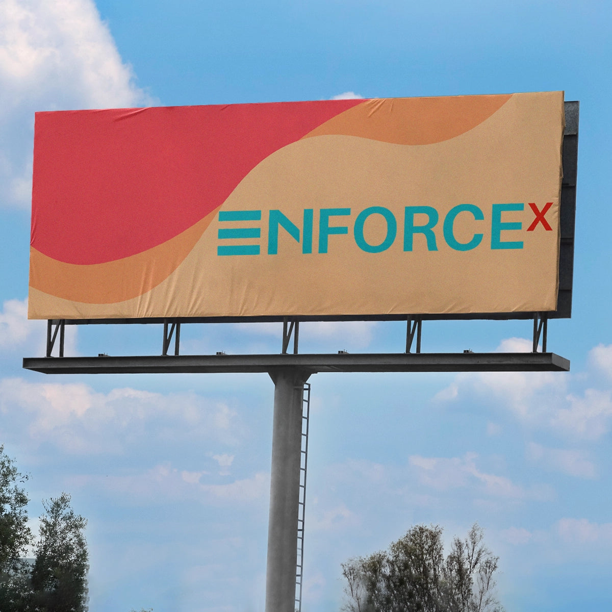 enforcex.com