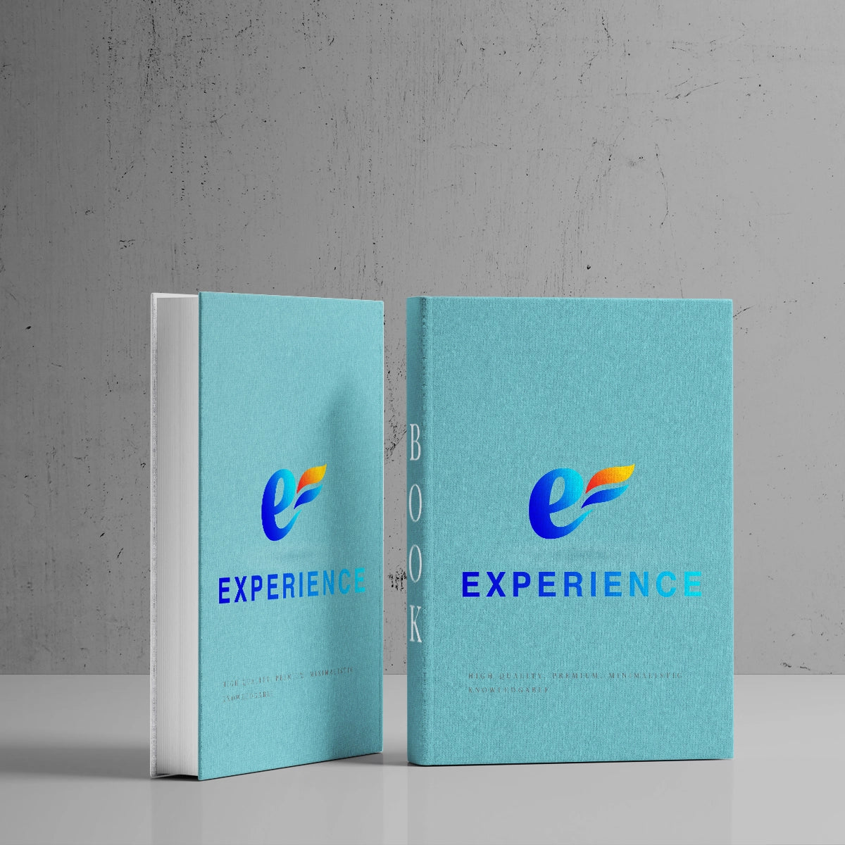 EXPERIENCE.WS