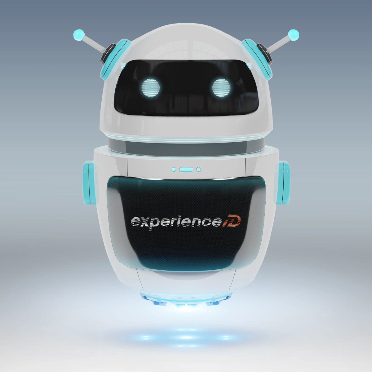 experienceid.com