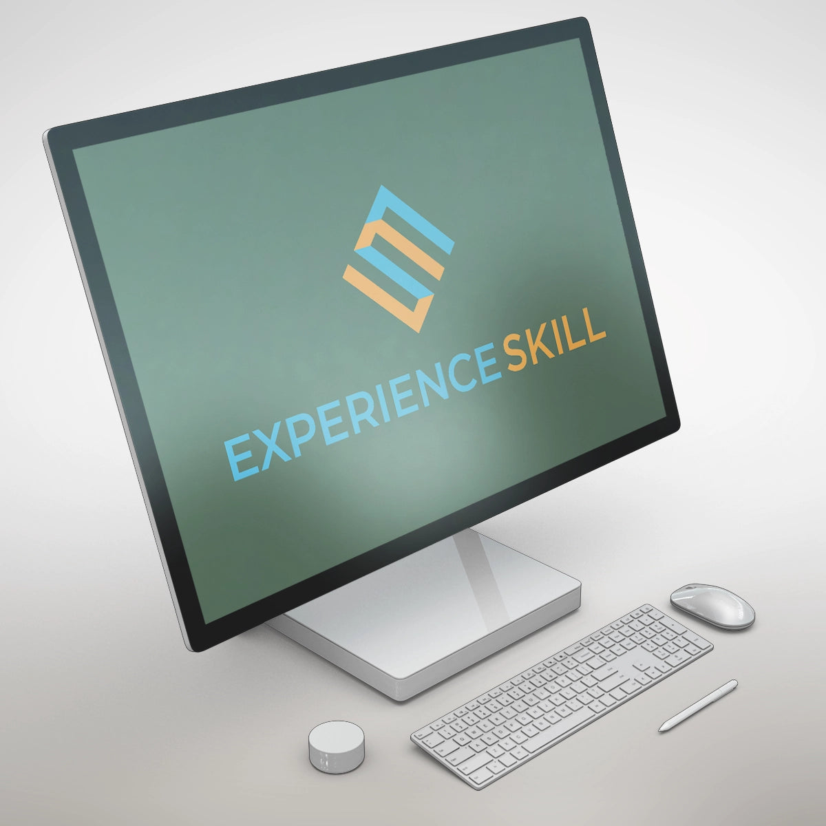 experienceskill.com