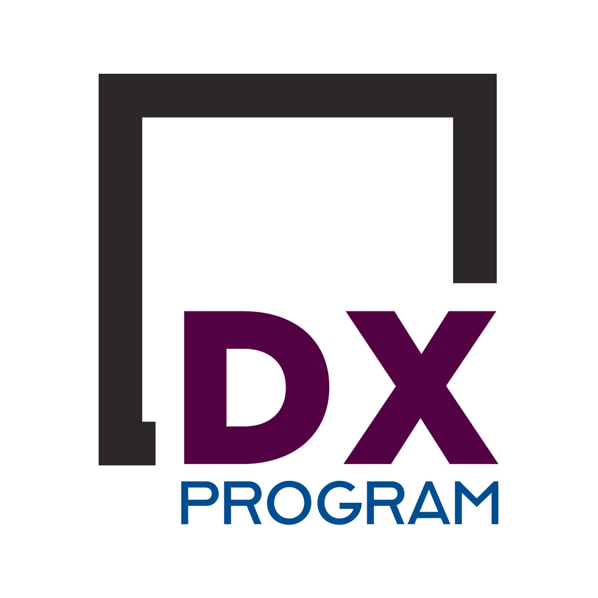 dxprogram.com