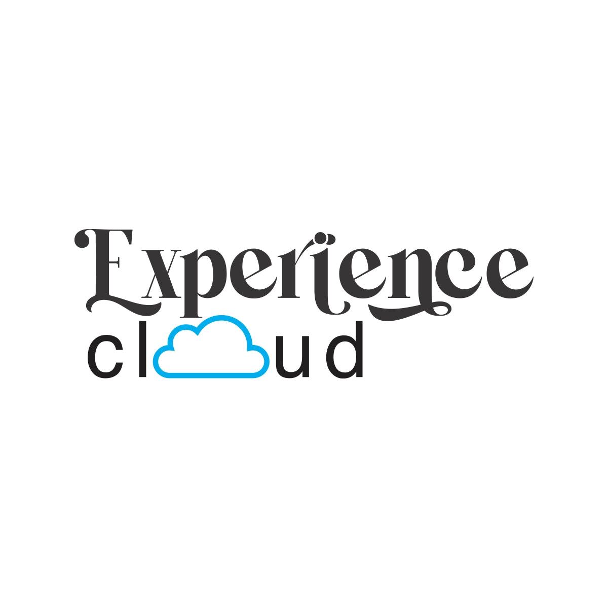 theexperiencecloud.com