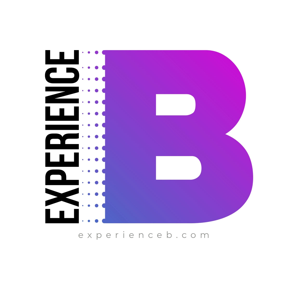 experienceb.com