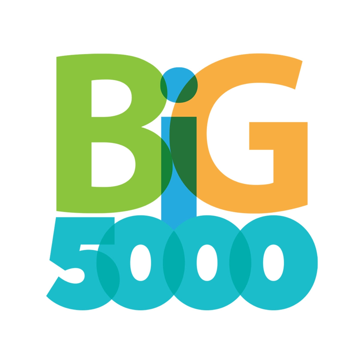 big5000.com