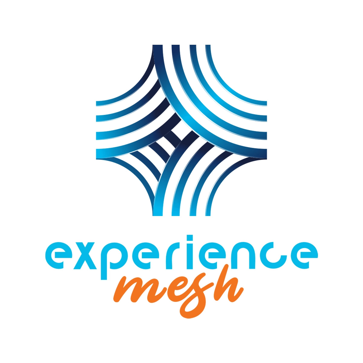 experiencemesh.com