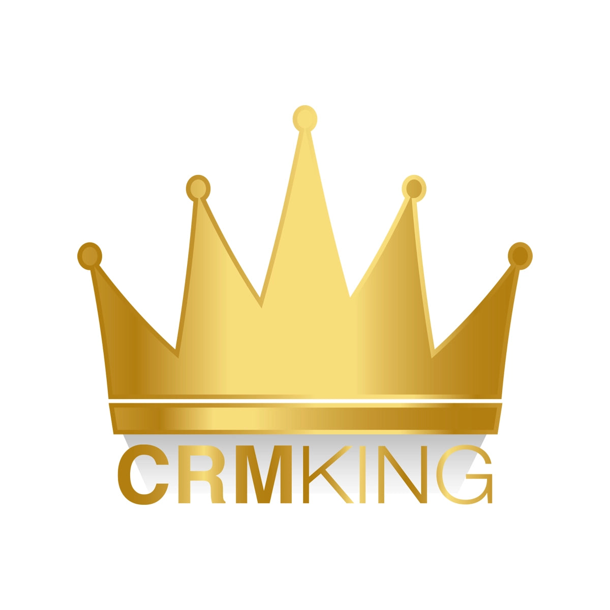 crmking.com