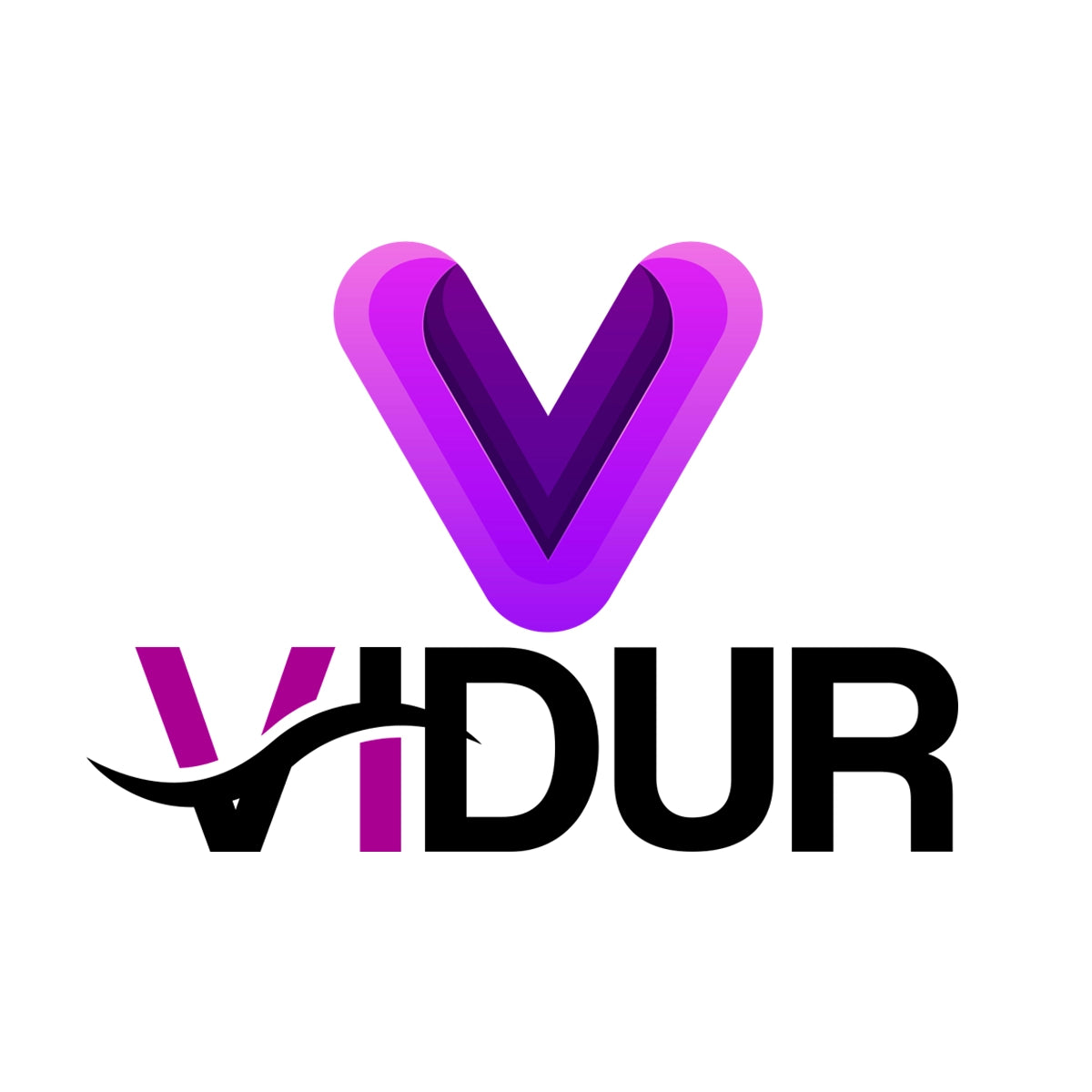 vidur.org
