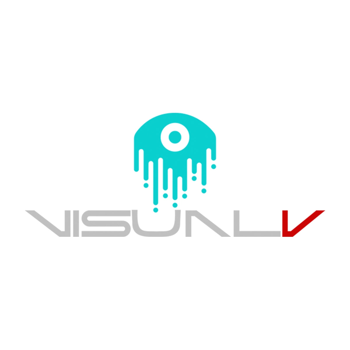 visualv.com