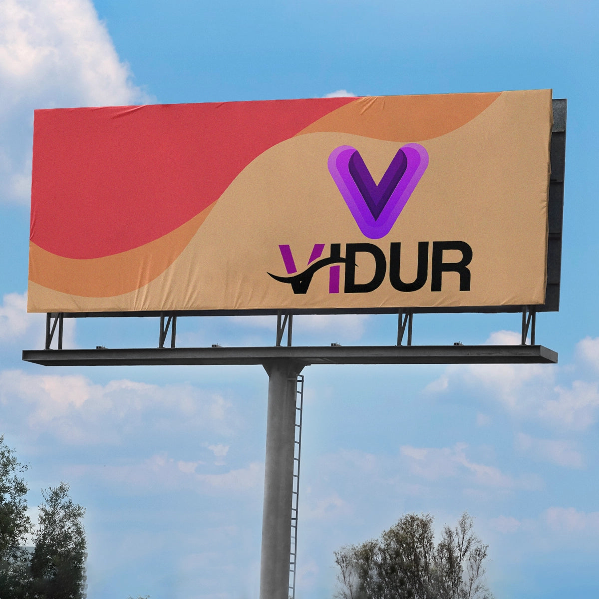 vidur.org