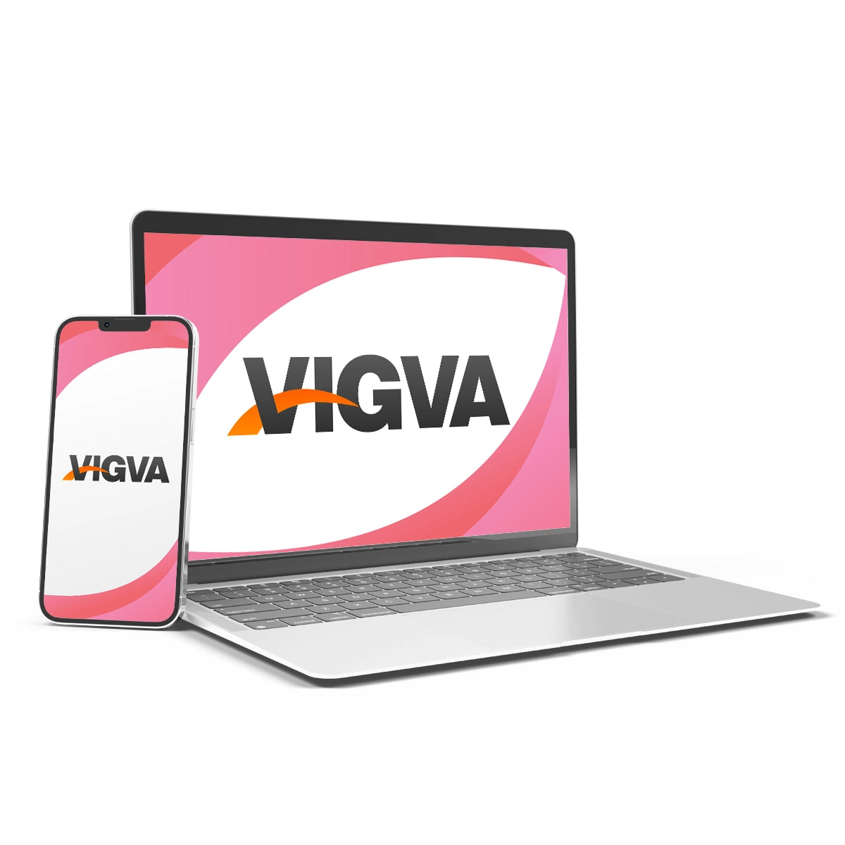 vigva.com