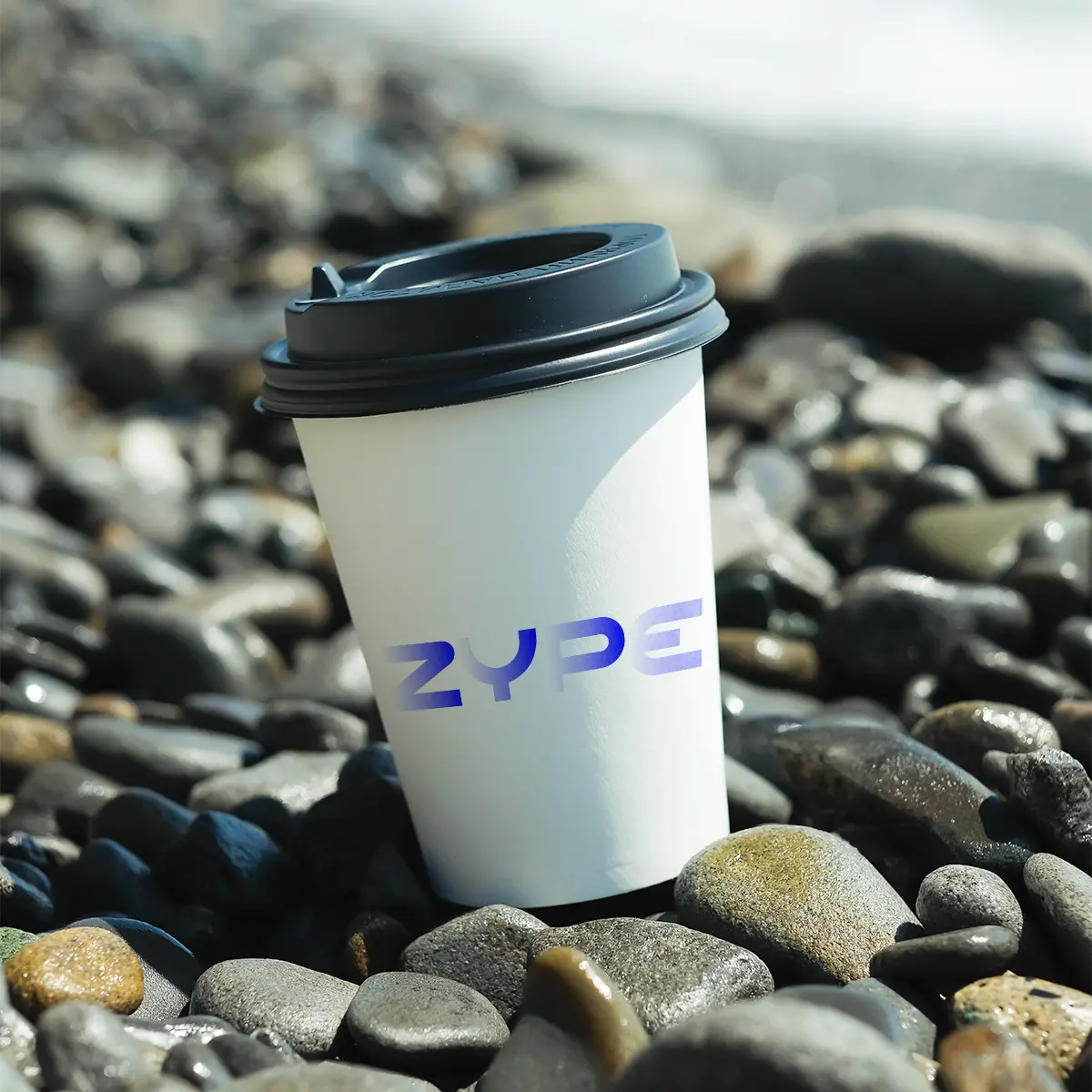 zype.ai