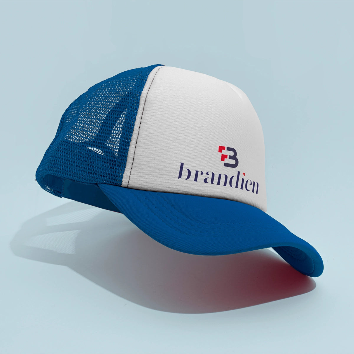 brandien.com