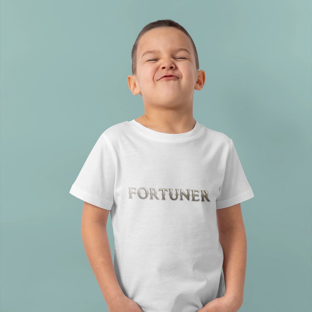 fortuner.info