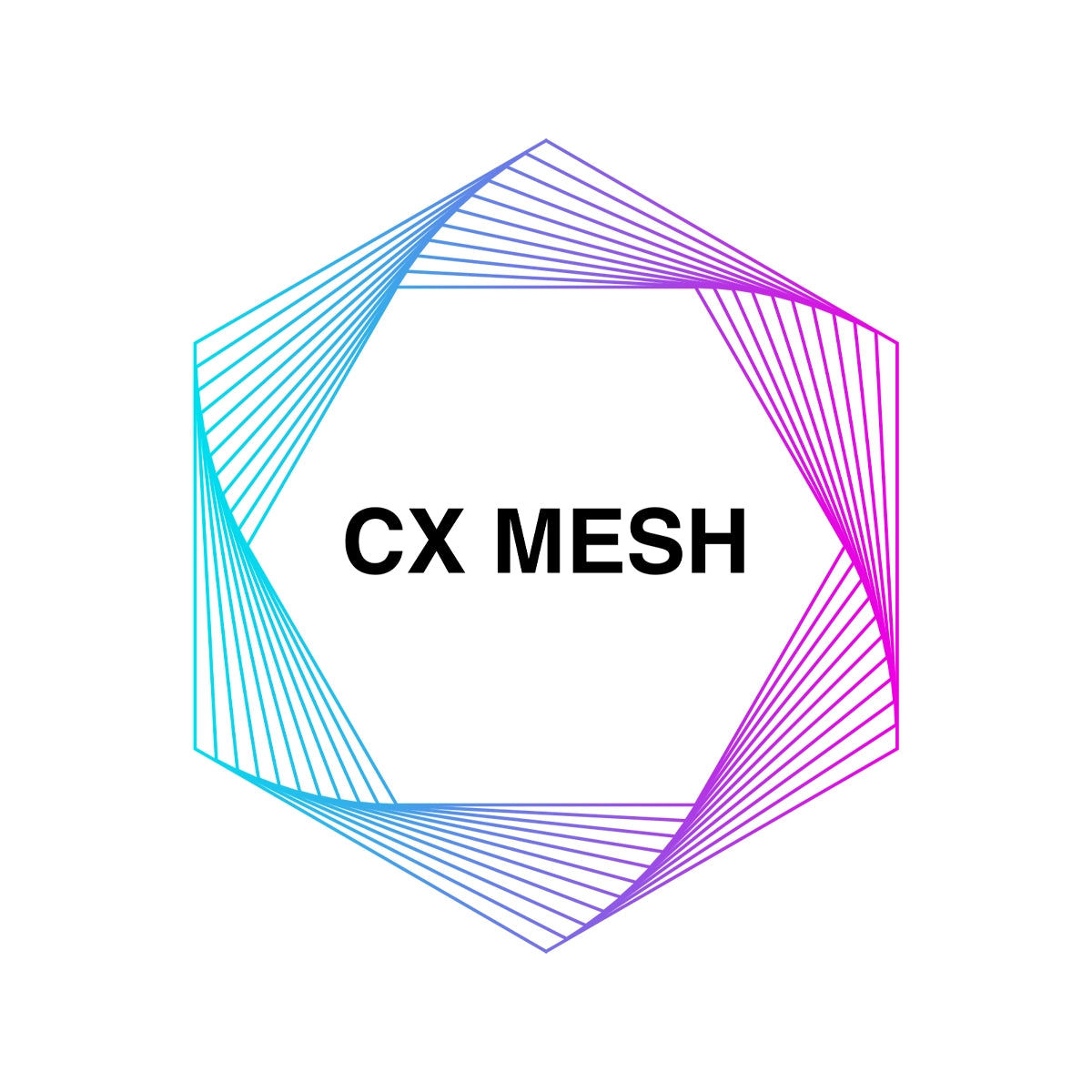 cxmesh.com